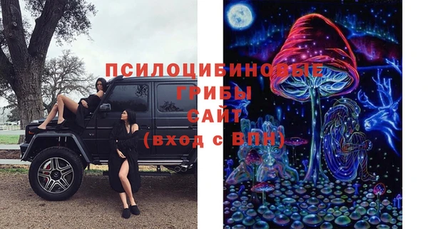 дживик Бронницы