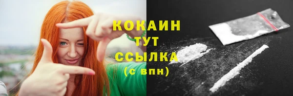 соль ск Богородицк