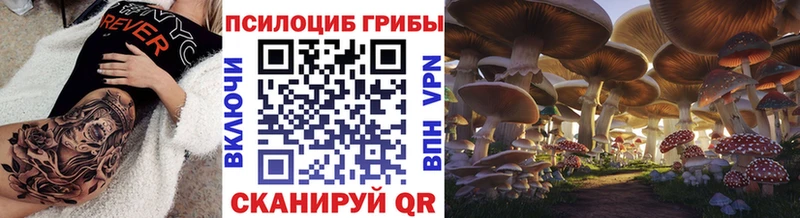Галлюциногенные грибы прущие грибы  как найти закладки  Каргат 